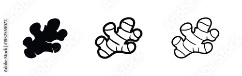 Ginger Root Spice Icon Set. Natural Ingredient for Cooking, Baking, and Herbal Remedies.