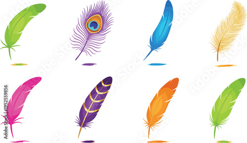 Colorful feather vector set with peacock plume and exotic bird quills for creative writing and bohemian decoration isolated on white background