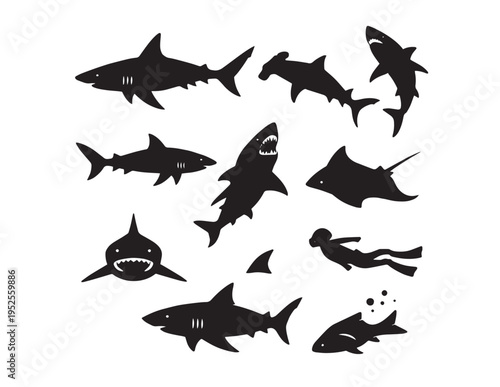 Dynamic shark vector silhouettes, a collection of diverse marine predator shapes, including great white, hammerhead, and stingray, ideal for ocean-themed design and aquatic branding.