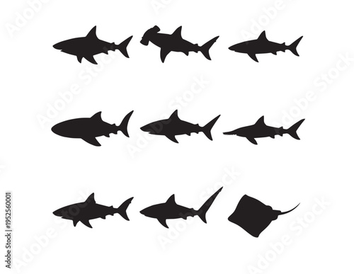 Shark silhouette vector set, nine distinct shark species and a stingray, ocean predator collection, marine life graphic resource for aquatic themes