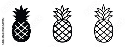 Pineapple Fruit Icon Set - Tropical Ananas Vector Illustration in Different Design Variations