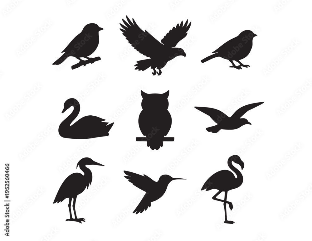 Obraz premium Diverse bird silhouettes vector collection, black avian animal shapes, various flying and perching bird icons, wildlife and nature graphic resources for design projects