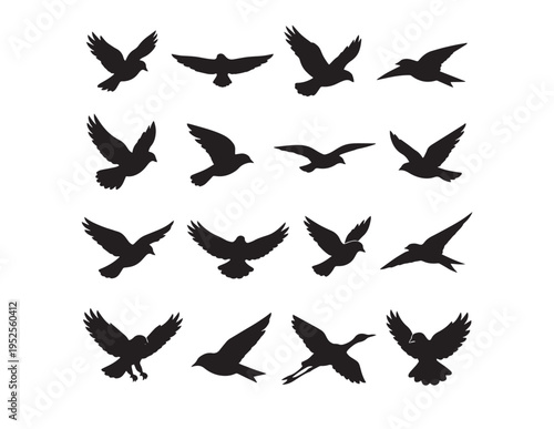 Dynamic bird silhouettes vector set, flying avian creatures in various poses, black graphic elements for nature and freedom designs, isolated on white background