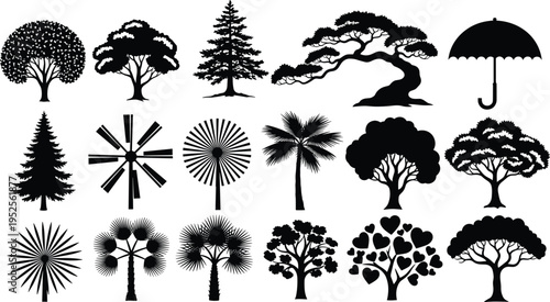 Tree silhouette illustration set, diverse species bonsai palm umbrella artwork, botanical nature vector design concept