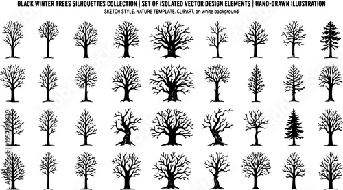 Collection of black winter tree silhouettes featuring bare branches and natural forms. Hand-drawn in a sketch style, this set of isolated vector elements captures the essence of seasonal nature. Minim