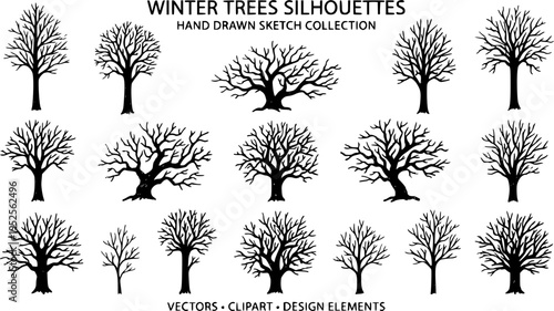 Collection of black winter tree silhouettes featuring bare branches and natural forms. Hand-drawn in a sketch style, this set of isolated vector elements captures the essence of seasonal nature. Minim