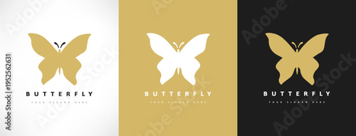 butterfly logo vector insect design
