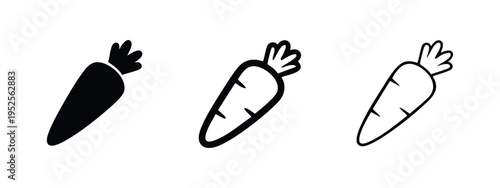Fresh carrot vegetable icon set in three distinct styles, representing healthy eating, garden, or farm produce.