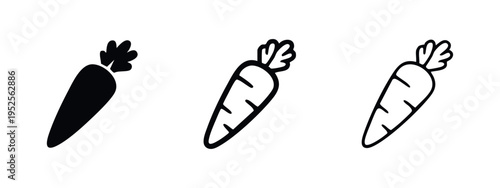Fresh carrot vegetable icon set in three distinct styles, representing healthy eating, garden, or farm produce.