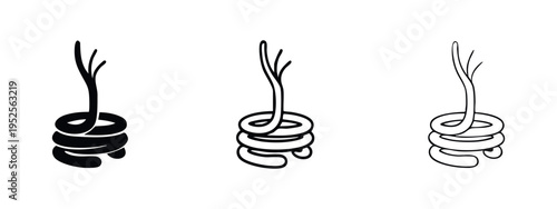 Coiled Intestine with Villi or Root System Icon Set: Biological Anatomy Glyphs