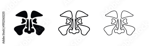 Human Sinuses Anatomy Icon Set: Nasal Cavity Glyphs and Outline Vector Illustration