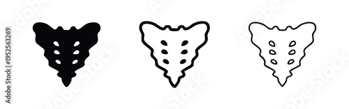 Human Sacrum Bone Icon Set - Pelvic Girdle Anatomy