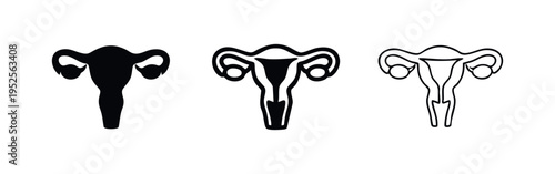 Human uterus vector icon set. Female reproductive system anatomy symbol in multiple styles.