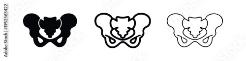 Human pelvis bone vector icon set. Anatomical hip bone symbol in various styles.