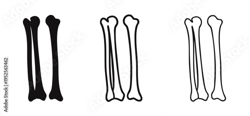 Two Human Long Bones Icon Set. Forearm or Lower Leg Skeletal Anatomy Symbol.