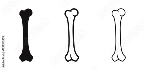 Human Femur Bone Icon Set. Medical Anatomy Vector Illustration in Flat, Bold Outline, and Thin Outline Styles.