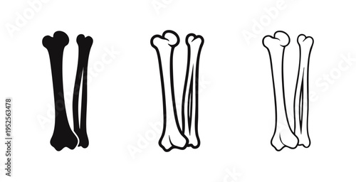 Human Forearm Bones Icon Set. Radius and Ulna Anatomy Vector Illustration in Flat, Bold Outline, and Thin Outline Styles.