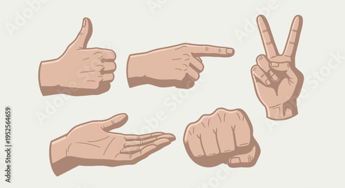 Set of diverse human hand gestures showing thumbs up, pointing, open palm, fist, and peace sign in a bright studio.