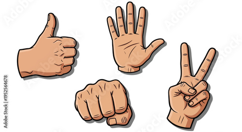 Set of diverse human hand gestures showing thumbs up, open palm, fist, and peace sign on an isolated white background.
