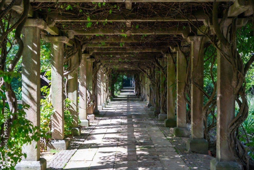 Obraz premium A stone walkway lined with a pergola covered in vines leads into a garden.