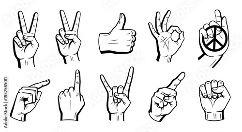 Diverse Collection of Hand Gestures Including Peace Sign, Thumbs Up, Rock, and Praying Hands in Bright Studio