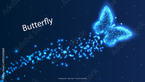 Photography butterfly 2  Butterfly composed of polygon