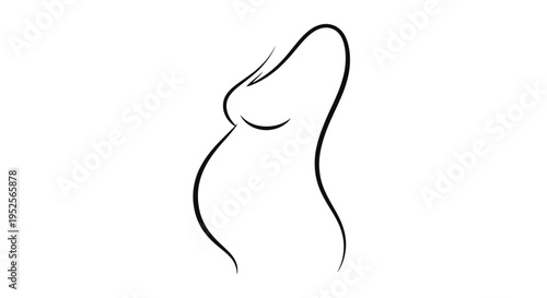 Abstract Line Art of Pregnant Woman's Belly, Minimalist Style on Isolated White Background
