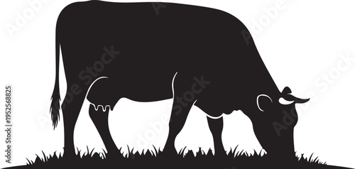 Black cow grazing vector silhouette isolated on Transparent Background