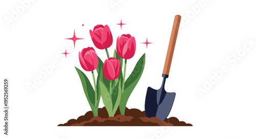 Beautiful red tulips growing in dark garden soil next to metal shovel with decorative sparkling stars over clean white background for garden.