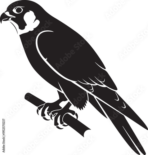 Black falcon bird vector icon isolated on Transparent Background