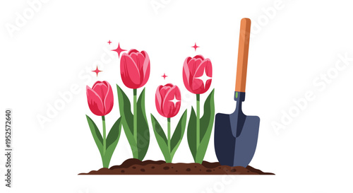 Spring gardening scene with beautiful pink tulips growing in fertile soil next to a metal shovel for outdoor planting.