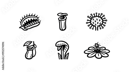 Hand drawn style black line illustrations of six carnivorous plants labeled by name, each in its own rounded square on white background, botanical sketch icon collection.