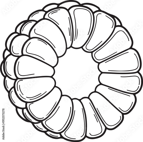 Corn Cob Kernel Ring Outline Clip Art