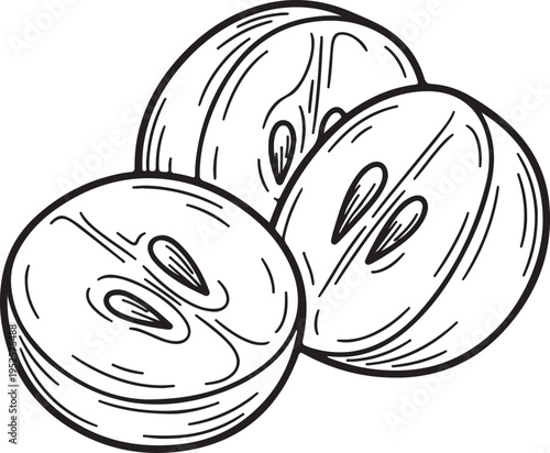 Grape Halves Sliced Cross Section Outline Drawing