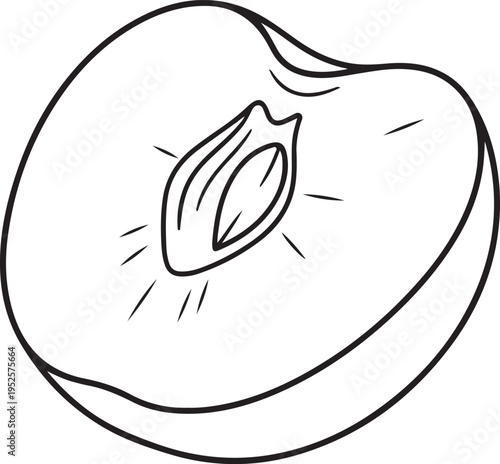 Half Peach Cut Open Showing Seed and Texture Outline Illustration Isolated on White