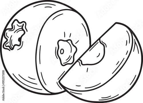 Hand Drawn Blueberry and Slice Outline Illustration Fresh Fruit Vector Art
