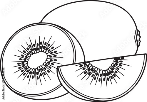 Kiwi fruit slices and whole fruit line art illustration isolated on white background