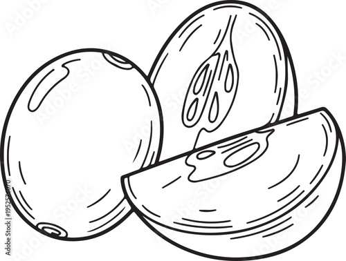 Line Art Drawing of Plums Whole and Sliced on White Background Stock Illustration