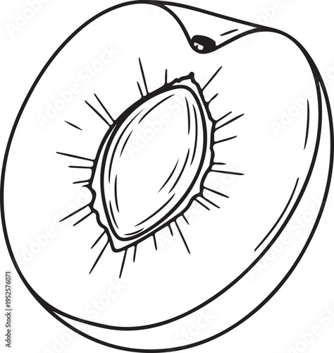 Line Drawing of a Plum Cut in Half Showing the Pit Isolated on White