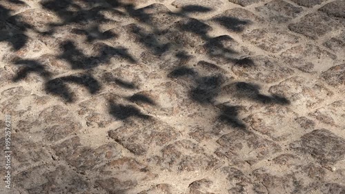 Shadows from trees on the sidewalk, space for text