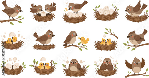 Cute Bird Nesting and Hatching Set with Chicks and Eggs Vector Illustration Collection