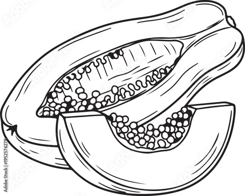 Papaya Fruit Cut Open Showing Seeds and Slice Line Art Fresh Tropical