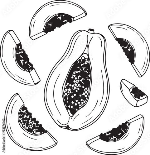 Papaya Fruit Halved and Sliced Vector Illustration Tropical Food Sketch Style
