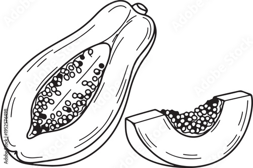 Papaya Half and Slice with Seeds Outline Drawing Isolated on White