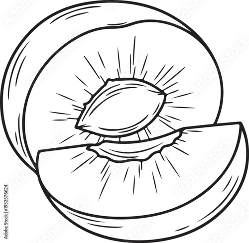 Peach Cut In Half Showing Seed and Slice Line Drawing Minimalist Style