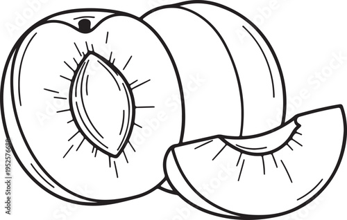 Peach Fruit Slice Line Drawing Stock Art Isolated on White Background