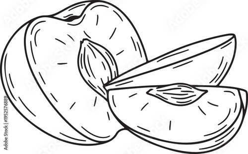 Peach outline drawing whole fruit and slices with pit isolated on white background