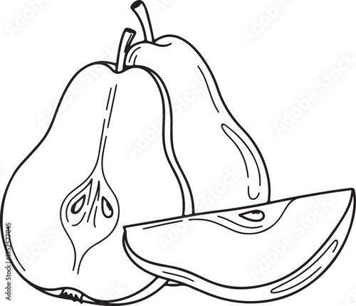 Pear Fruit Slice and Whole Pears Outline Drawing Healthy Food Ingredient Simple Vector Illustration