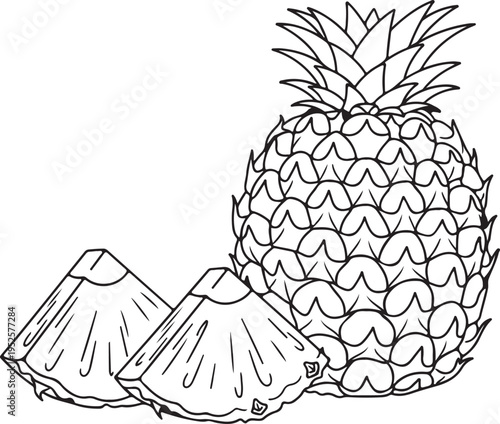 Pineapple Fruit Slices and Whole Fruit Line Drawing on White Background