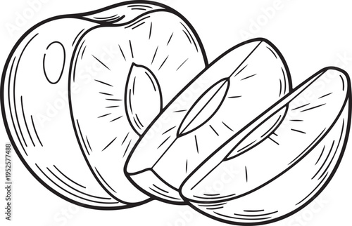 Plum Fruit Half Cut with Pit and Slices Line Drawing Illustration